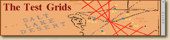 To Test Grids Contents